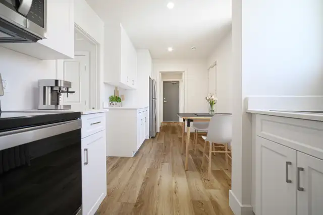 Beautifully Renovated 1 Bedroom Apartment! Available November!