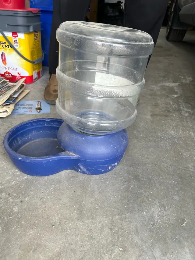 free dog water thing