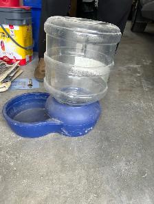 free dog water thing