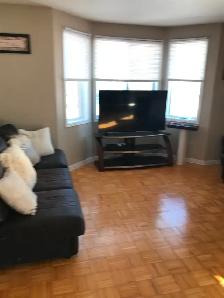 Large and Sunny 4 1/2 apartment in plateau with appliances Oct 1 - Photo 3
