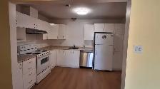 Large and Sunny 4 1/2 apartment in plateau with appliances Oct 1 - Photo 5