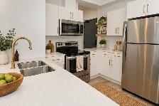 LUXURY 2 Bedroom Apartment! Available December 1st!