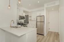 LUXURY 2 Bedroom Apartment! Available December 1st! - Photo 7