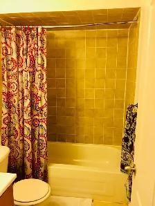 1 Bedroom Basement for Rent in Woodbridge | Utilities   1 Parkin - Photo 4
