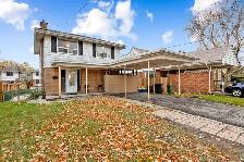 Basement APARTMENT for RENT