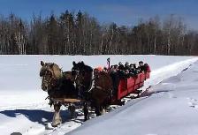 Double Bob Sleds   Wagon - Photo 2