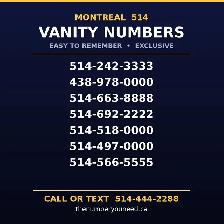 easy to remember 514 montreal exclusive phone numbers for sale