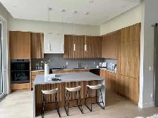 EUROPIAN MINIMAL DESIGN & MODERN CUSTOM MADE KITCHEN CABINETS