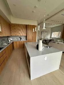 EUROPIAN MINIMAL DESIGN & MODERN CUSTOM MADE KITCHEN CABINETS - Photo 2
