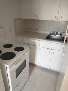 Large bachelor. Jackson Park. $1,100 incl. heat/water - Photo 6