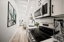 Modern 1 Bedroom Available December 1st! Located In Downtown!