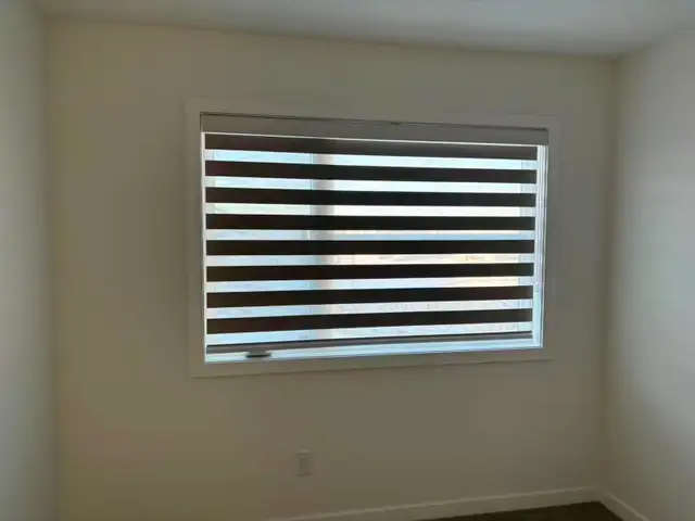 Zebra Blinds