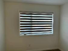 Zebra Blinds