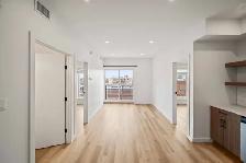 STUNNING 2 Bed 2 Bath Apartment! Move In Ready! - Photo 8
