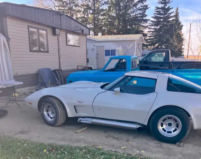 1978  Chevrolet Corvette,Stingray