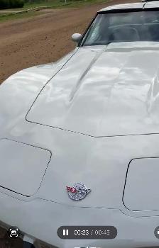 1978  Chevrolet Corvette,Stingray - Photo 3