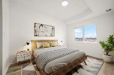 LUXURY 2 Bed 2 Bath Apartment! Located In Garden City! - Photo 5