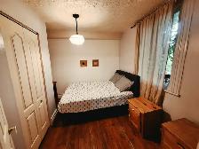 Joli 41/2, 2ch,1min Metro Charlevoix.4 elec.1500$ - Photo 7