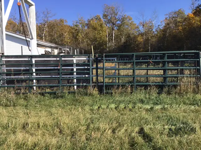 Hi - Hog Panels For Sale