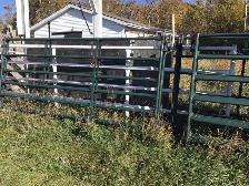 Hi - Hog Panels For Sale - Photo 2