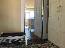 Sunny Southward Bachelor Apartment for Rent - Photo 2