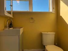 Sunny Southward Bachelor Apartment for Rent - Photo 7