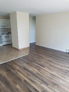 291 Main Ave Apt 19 (Dec 15) - Heat/Water & Pkg Incl! - Photo 4