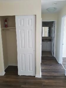 291 Main Ave Apt 19 (Dec 15) - Heat/Water & Pkg Incl! - Photo 8