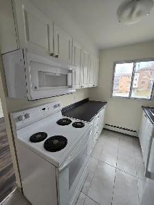Waterfront 1BR w/ Reno Kitchen - 223 Windmill Unit 430 (Dec 1) - Photo 14