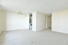 1 Bedroom Apartment in Ottawa South - Starting at $1549   Hydro - Photo 3