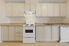 1 Bedroom Apartment in Ottawa South - Starting at $1549   Hydro - Photo 5