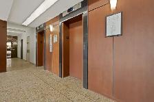 1 Bedroom Apartment in Ottawa South - Starting at $1549   Hydro - Photo 10