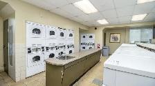1 Bedroom Apartment in Ottawa South - Starting at $1549   Hydro - Photo 12