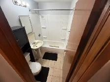 All inclusive, beautifully Renovated & Close 2 hospital & shoppi - Photo 5