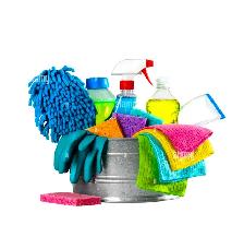Professional Cleaning Services