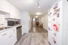 3 Winston Rd, St. Catharines - 2 Bedroom Lower Unit