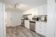 3 Winston Rd, St. Catharines - 2 Bedroom Lower Unit - Photo 5