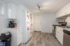 3 Winston Rd, St. Catharines - 2 Bedroom Lower Unit - Photo 6
