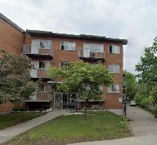 8390 Christophe Colomb - 1 mois gratuit