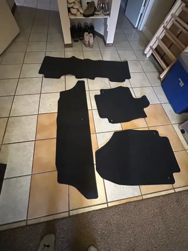 Car mats - 2018 Honda odessey