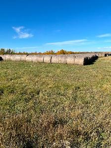 Hay bales $100