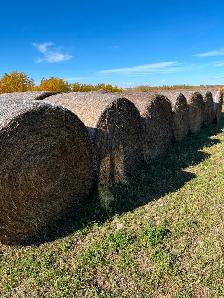 Hay bales $100 - Photo 3