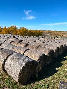 Hay bales $100 - Photo 4