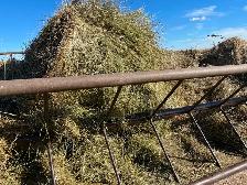 Hay bales $100 - Photo 5