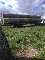 Hay bales $100 - Photo 9