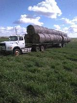 Hay bales $100 - Photo 10