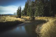1 Bdrm Furnished ,27K W of Caroline Surrounded by Crown Land - Photo 8