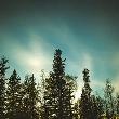 1 Bdrm Furnished ,27K W of Caroline Surrounded by Crown Land - Photo 9