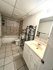 Basement available - Photo 5