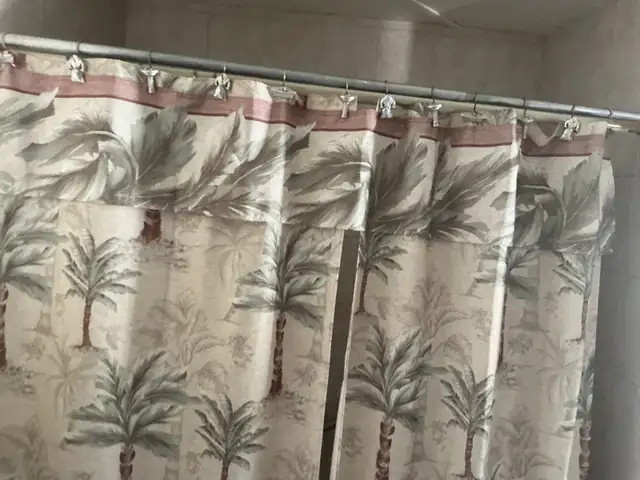 cadre avec palmiers  avec rideaux de douche
